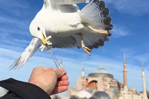 Istanbul Private Tour Enriching Exploration Of Byzantine And Ottoman