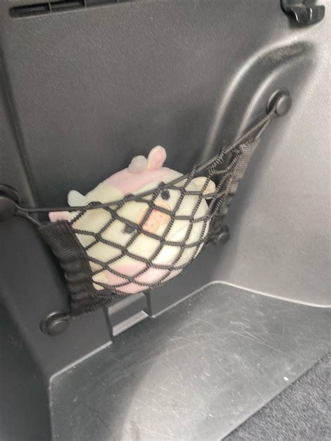 her scent is too strong so she's forever trapped in the trunk of my car