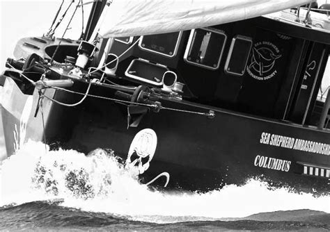 COLUMBUS Sea Shepherd Columbus Shepherd