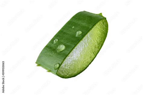 Fresh Aloe Vera Slice With Aloe Vera Gel Drops Isolated On Transparent