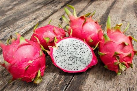 Phòng Trừ Ruồi đục Quả Thanh Long Farmvina Nông Nghiệp