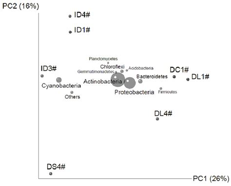 A Principal Coordinate Analysis Pcoa Plot Showing Similarity Of