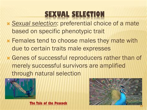 Ppt The Evolution Of Populations And Speciation Powerpoint Presentation Id 9305685