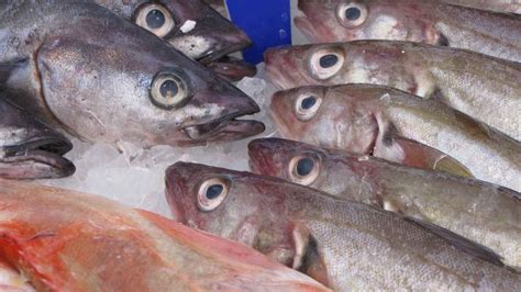 C Mo Reconocer Si Un Pescado Es Fresco Conoce Trucos Para Elegir