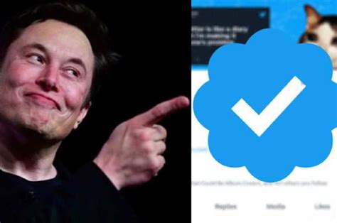 Elon Musks Major Twitter News Legacy Blue Ticks To Disappear On This Date