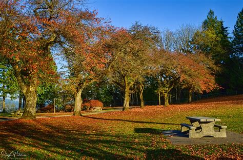 Colours Of Autumn Burnaby Mountain Park Burnaby Bc Canada Flickr