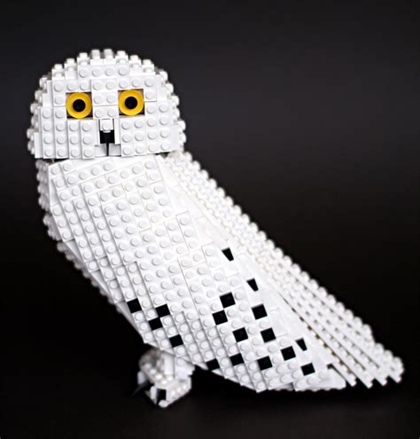 Bird Enthusiast Creates Lego Birds And 10000 Supporters Get Lego To