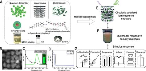 中科大庄涛涛团队 Jacs：高品质因子和高稳定性的圆偏振发光体系及其在信息加密防伪和智能化织物方向的应用中国聚合物网科教新闻