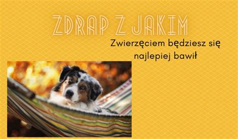 Zdrap Z Jakim Zwierz Ciem B Dziesz Si Najlepiej Bawi Samequizy