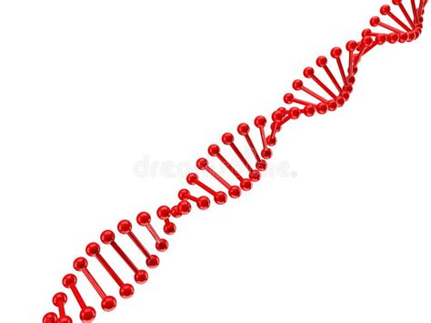 De Structuur Van DNA Over Wit Stock Illustratie Illustration Of