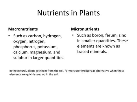 Plant Life 4thq Unit Ppt Download