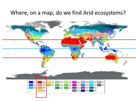 PPT - Arid Ecosystems PowerPoint Presentation, free download - ID:2064655