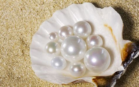 Pearl Diving In The Uae History Economy Facts More Mybayut