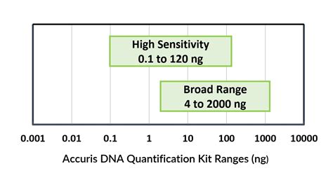 DNA Quantification Kit High Sensitivity DsDNA Quantification Kit 100