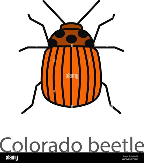 Coloradok Fer Farbe Symbol Insekt Sch Dling Kartoffel Bug Isolierte