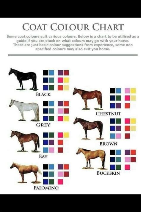 1000+ images about Horse colors on Pinterest