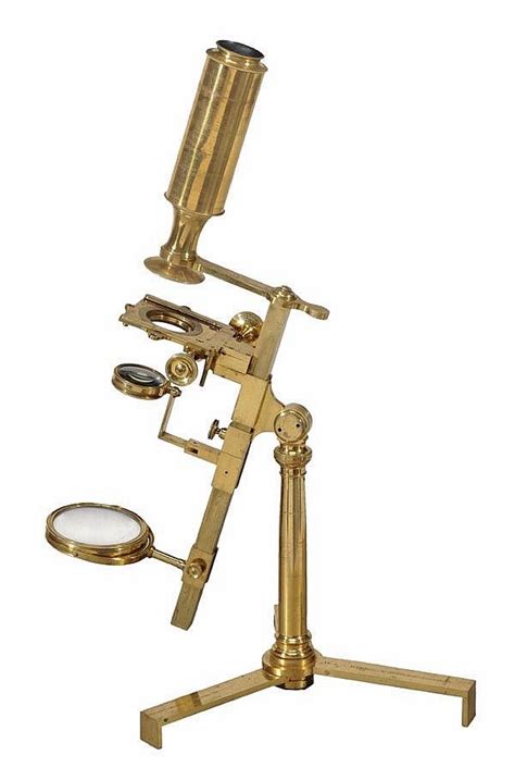 1000+ images about Microscope on Pinterest | Optical microscope ...