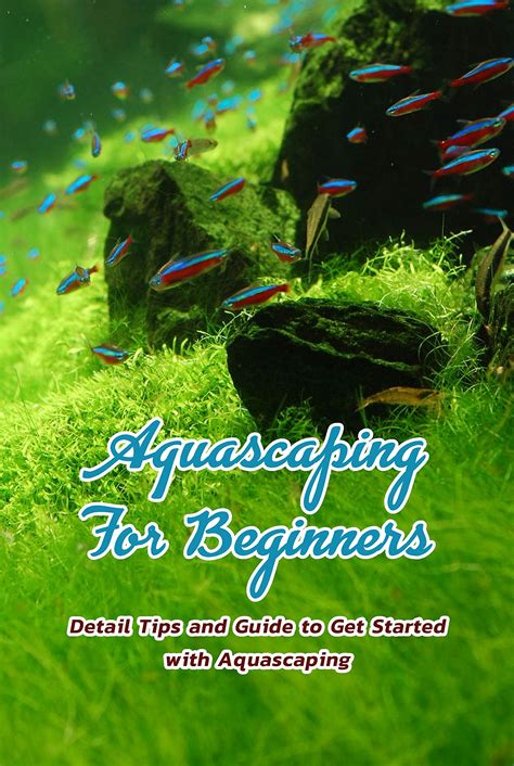 Aquascaping For Beginners Detail Tips And Guide To Get Started With