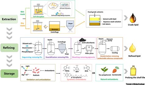 Economical Downstream Processing Of Microbial Polyunsaturated Fatty