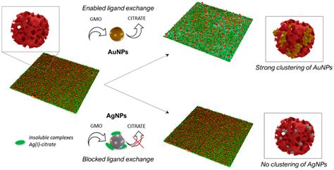 Nanomaterials Free Full Text Biomimetic Nanomaterials Diversity Technology And Biomedical