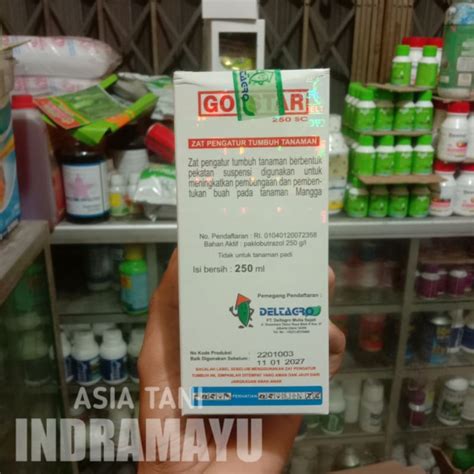 Jual Golstar 250 Sc Zat Pengatur Tumbuh Kemasan 250ml Shopee Indonesia