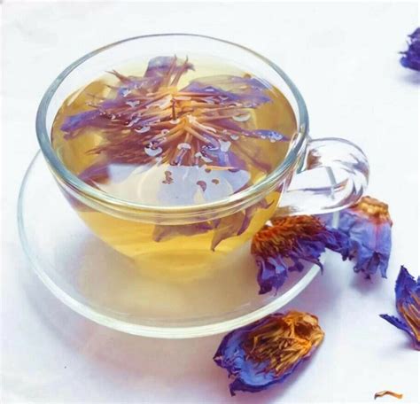 Organic Dried Blue Lotus Whole Flower Tea Smoke Sacred Etsy