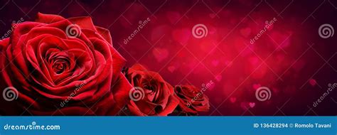 Red Roses in Heart Shape stock photo. Image of womens - 136428294