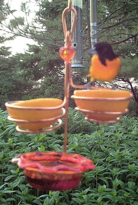 Baltimore Oriole Facts - Oriole Copper Marsh Feeders