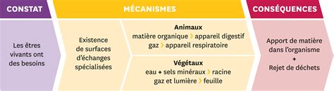 Les échanges de matière indispensables à la vie Lelivrescolaire fr