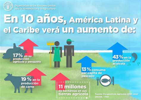 Aumentó de en la producción agrícola y pesquera de América Latina y el Caribe al