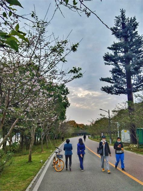 磁湖风光 手机摄影 颇可 湖北黄石磁湖风景区 红山传人 世间手记 我要上开屏 旅行之美 蒸汽态度 Spc手机摄影大赛2021 Spc大赛自然组 Spc大赛组图组 Spc手机摄影大赛 你眼中的