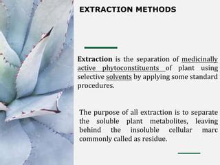 Basic To Phytochemistry Pdf