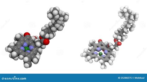 Chlorophyll B Structure Stock Photography | CartoonDealer.com #84224462