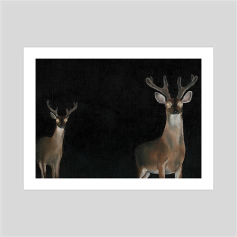 Deer In Headlights An Art Print By James Mize Inprnt