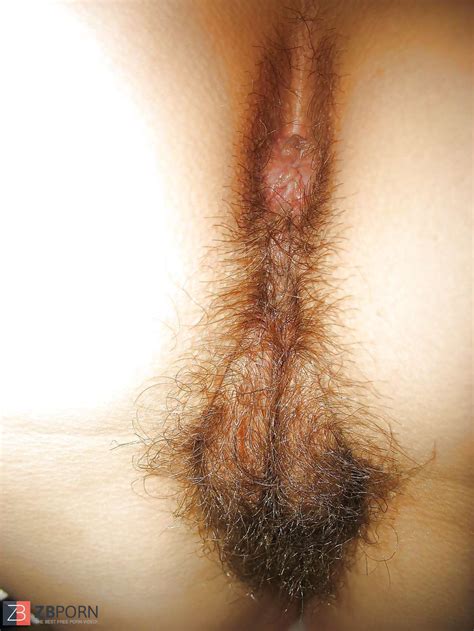 Sexiest Image ZB Porn