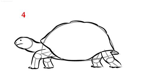 How To Draw A Turtle Step By Step