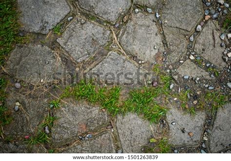 Texture Paving Slabs Overgrown Grass Background Stock Photo