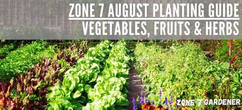 Zone 7 Gardening Guide: Mastering the USDA Hardiness Zone 7 Landscape ...