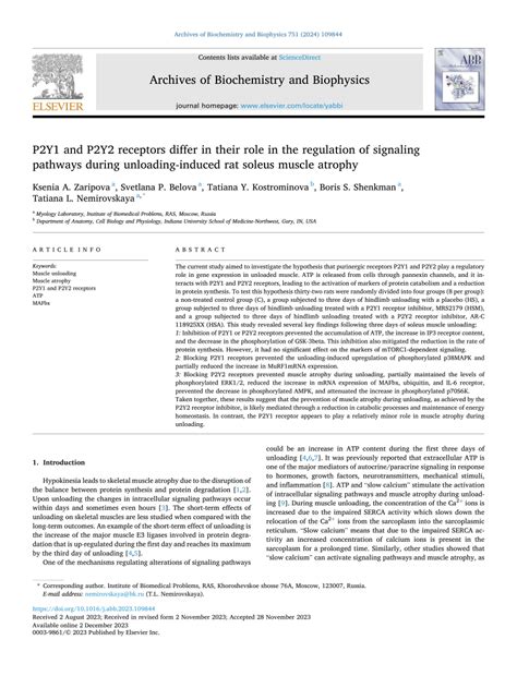 PDF P2Y1 And P2Y2 Receptors Differ In Their Role In The Regulation Of