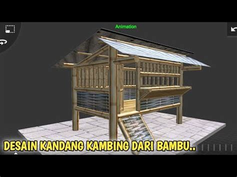 Desain Kandang Kambing Dari Bambu Youtube