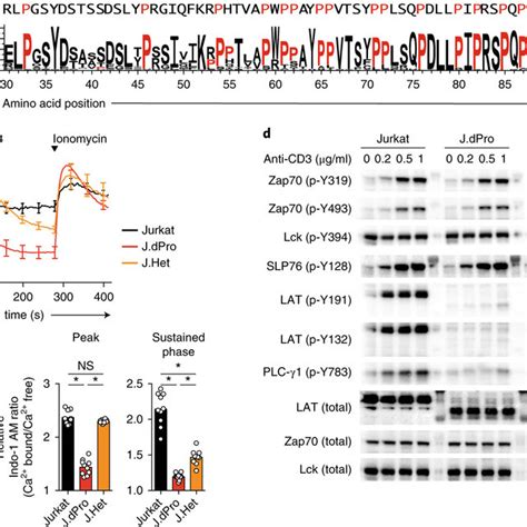 The Proline Rich Motif In The Membrane Proximal Segment Of Lat Is