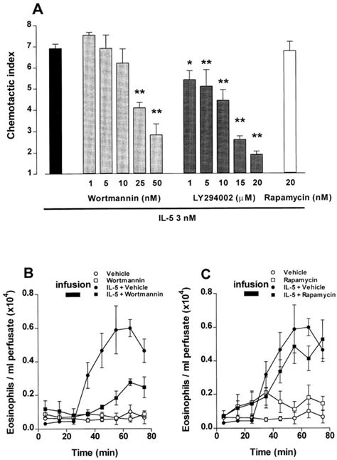 Effect Of The Pi 3 Kinase Inhibitors Wortmannin And Ly294002 On