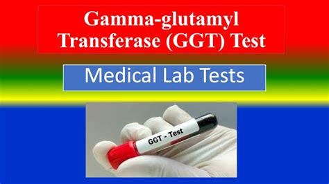 Gamma Glutamyl Transferase GGT Test Medical Lab Tests What Is