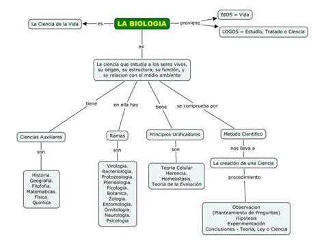 Mapa Conceptual De Las Ramas De La Biolog A 105651 Hot Sex Picture