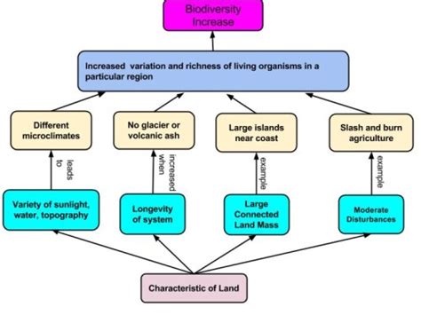 Biodiversity Diagram Meg5631 Geog 30 Our Perspectives