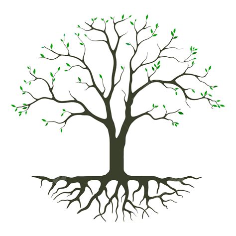 Deciduous Tree Logo In Circular Shaped, Tree, Deciduous Tree, Circle PNG and Vector with ...