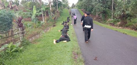 Kegiatan Latihan Sore Psht Ranting Argamakmur Cabang Bengkulu Utara