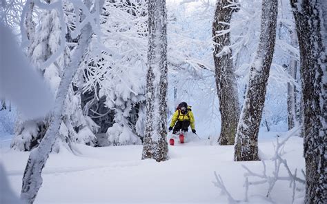 Backcountry Skiing for Beginners | Appalachian Mountain Club