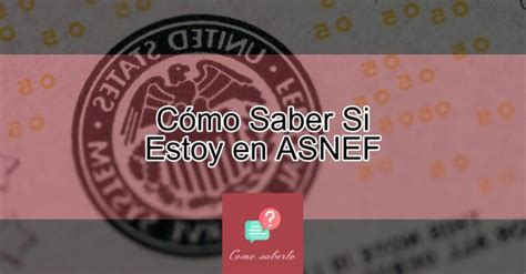 C Mo Saber Si Estoy En Asnef Actualizado Diciembre