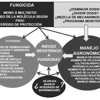 Pdf La Problem Tica De La Resistencia De Hongos A Fungicidas Causas